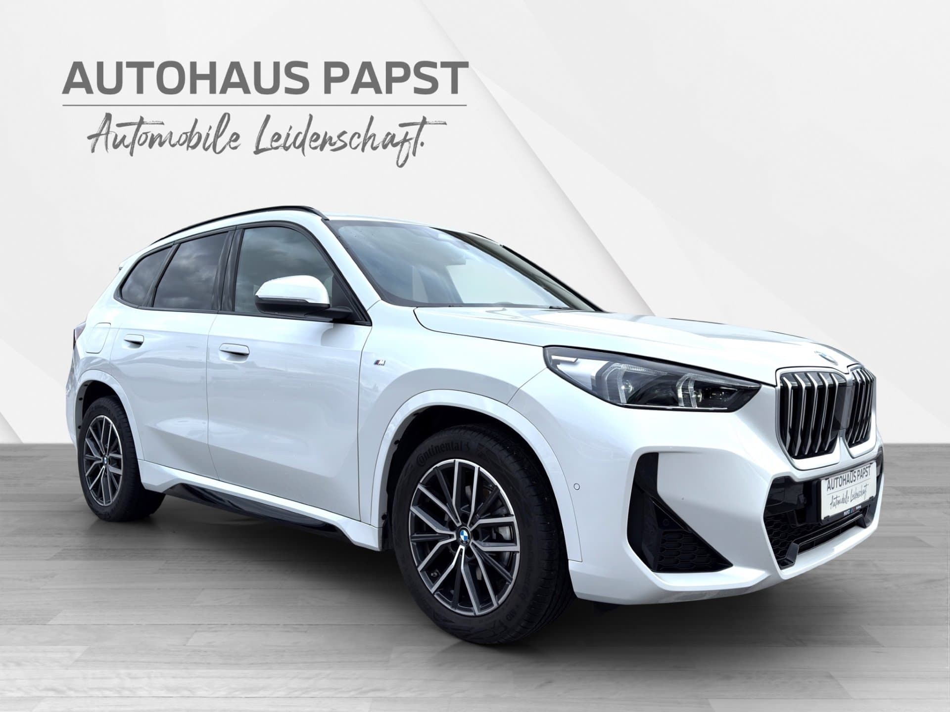 BMW X1 sDrive20d - Thumbnail 7