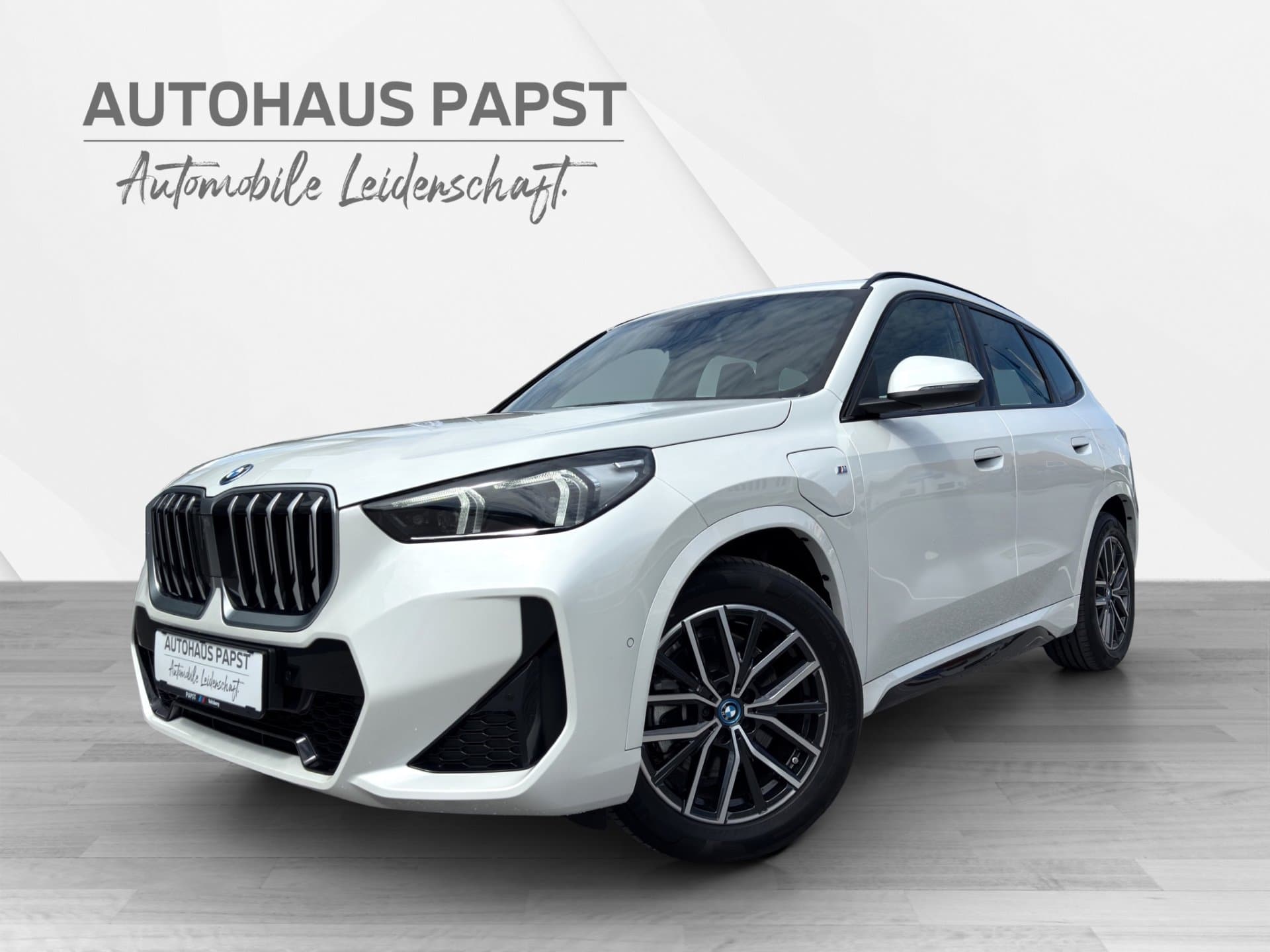 BMW X1 xDrive25e - Bild 1