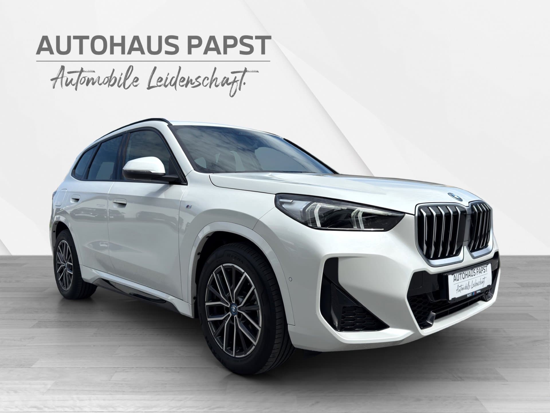 BMW X1 xDrive25e - Thumbnail 7
