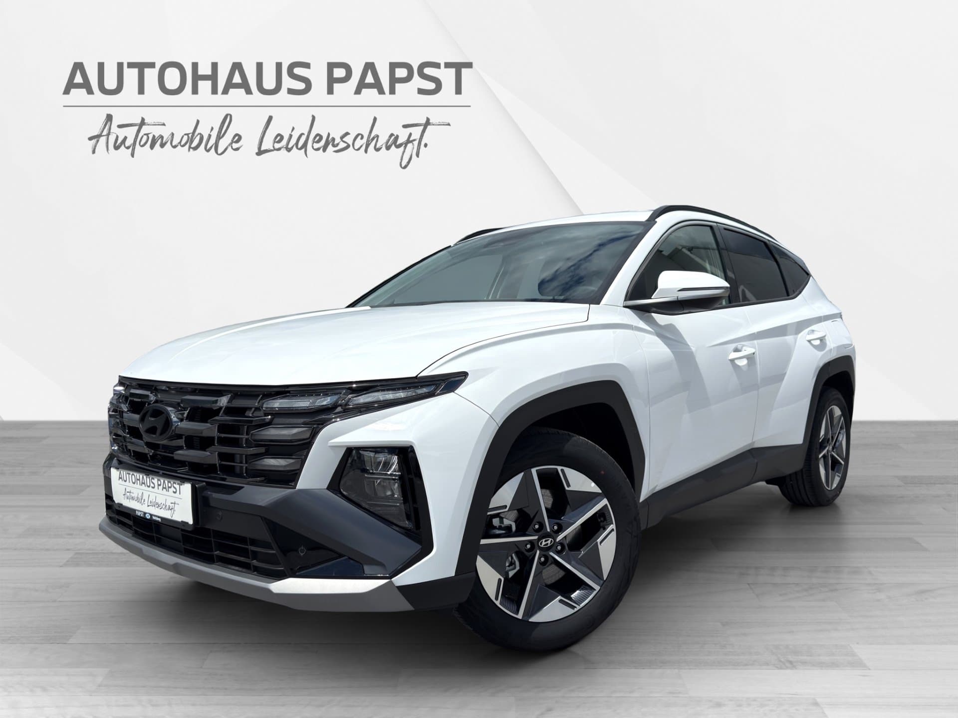 Hyundai Tucson 1,6 T-GDI 2WD Go! - Bild 1
